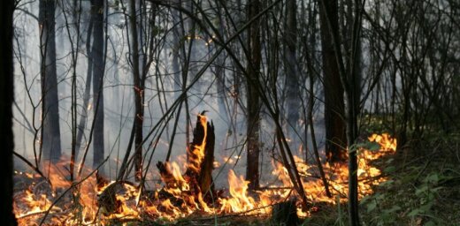 Trešdien valstī degušas mežu platības teju 70 hektāru platībā