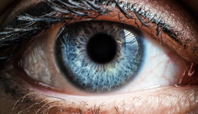 30 невероятных фактов о зрении и глазах