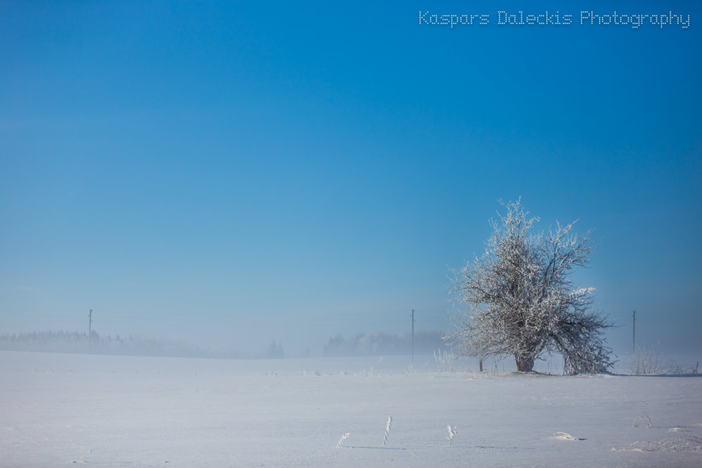 Fotogrāfs Vidzemē noķer skaistāko Latvijas ziemas dienu
