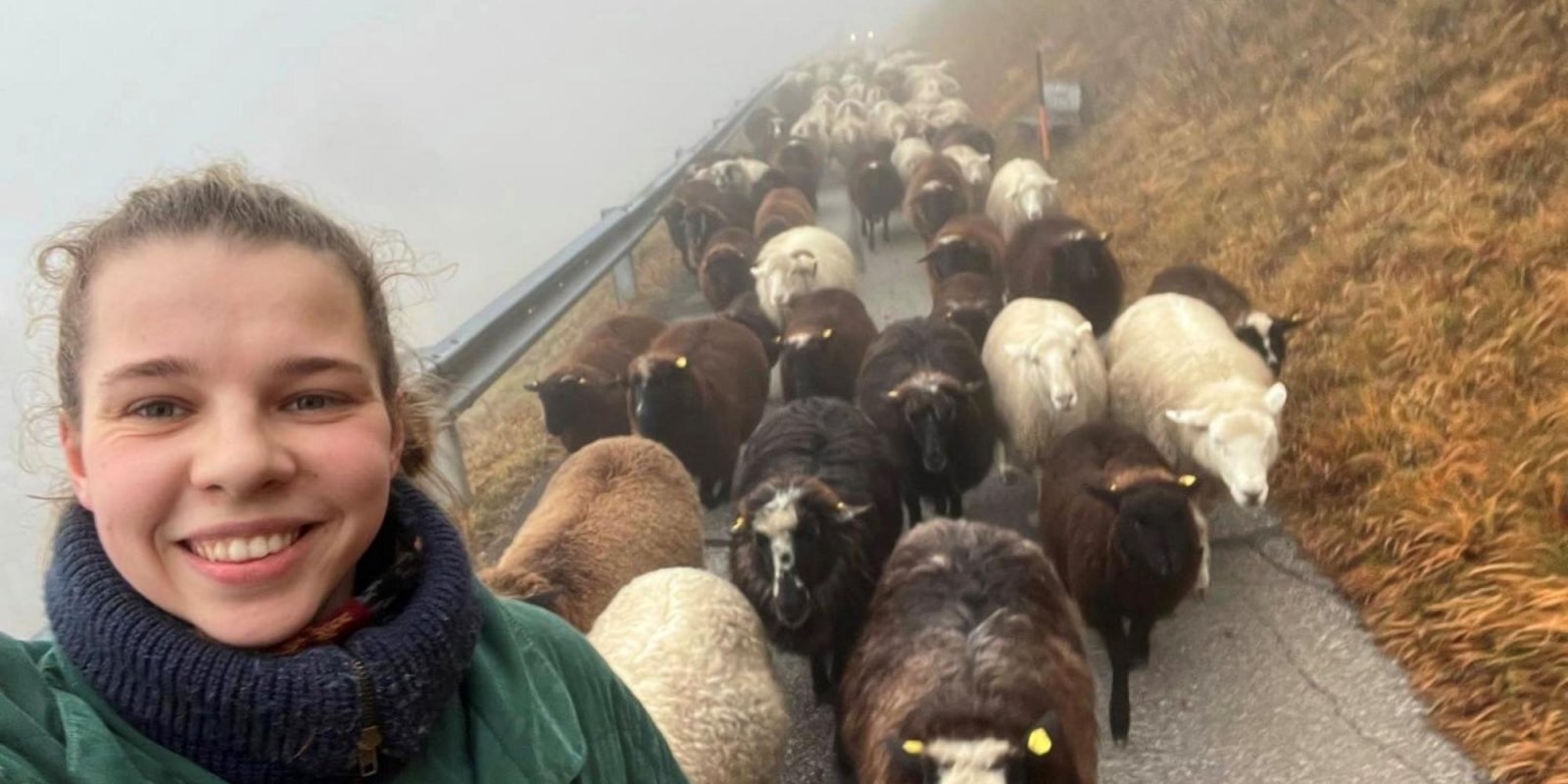 Vienkāršā dzīve, aitas un kūtsmēsli – kā divas igaunietes kļuva par brīvprātīgajām Austrijā
