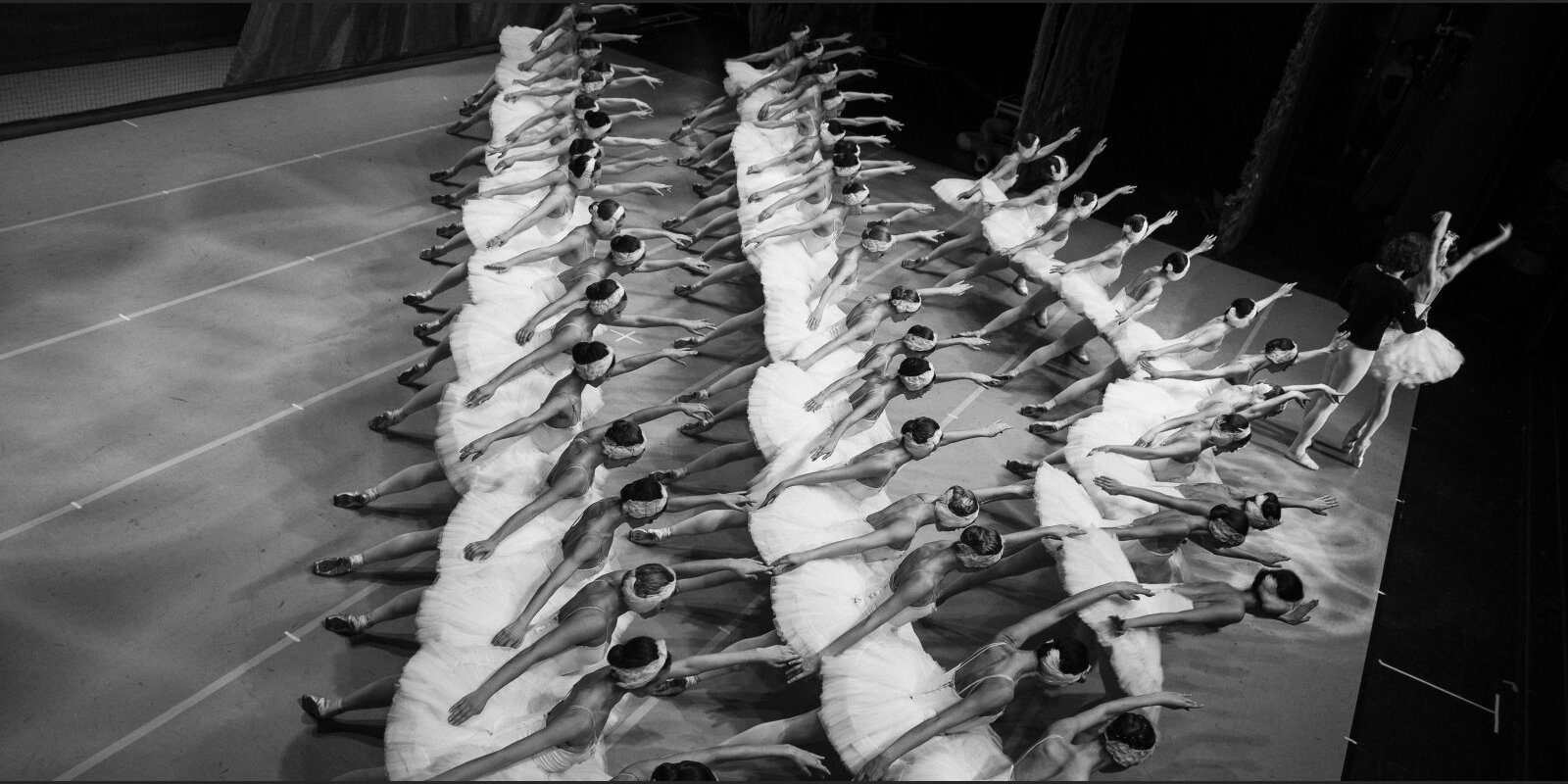 "Лебединое озеро" - символ конца кошмара. В Риге выступит балет, где танцуют украинские и русские беженцы