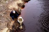 Saulkrastu upēs ielaiž 2500 taimiņu mazuļus