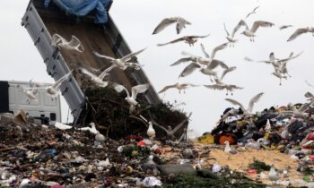 Faktu pārbaude: Tiesa, ka ES daudz pārtikas izmet atkritumos, tomēr lielāko daļu rada mājsaimniecības