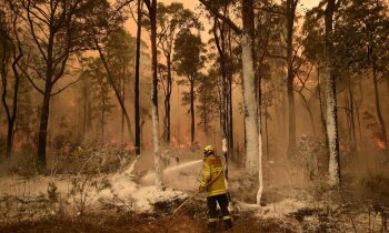 Ugunsgrēks teju Latvijas teritorijas platībā: kādēļ liesmas plosa Austrāliju