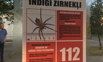 Rīgā izvietoti viltus brīdinājumi par indīgiem zirnekļiem