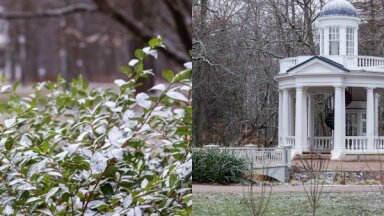 ФОТО. В историческом парке Кемери выпал первый снег