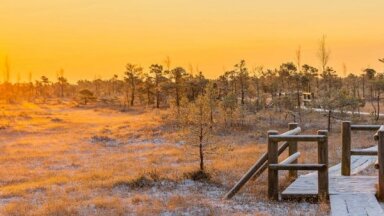 ФОТО. Волшебные виды: восход солнца холодным ноябрьским утром на Большом Кемерском болоте