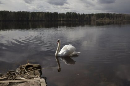 В среду небо будет серым, на востоке страны местами прояснится