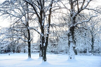 Nordeķu un Ēbelmuižas parkos plāno apgaismojumu