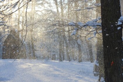 Latvijā sākusies meteoroloģiskā ziema; tuvākajās dienās gaidāms sniegs