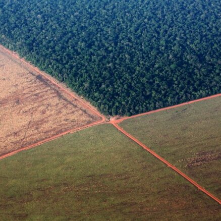 Ekologs brīdina: nākamās pandēmijas perēklis varētu būt Amazonē