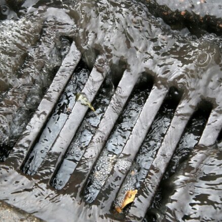 Из-за сильного дождя в Риге неочищенные сточные воды несколько часов сливали в Даугаву