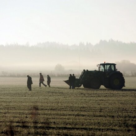 Lielbritānijā lauksaimniecības darbos apkrāpj viesstrādniekus no Latvijas un Lietuvas