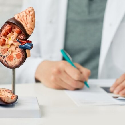 Bieži nopietnas slimības sākas vai beidzas nierēs. Kas ir hroniska nieru slimība