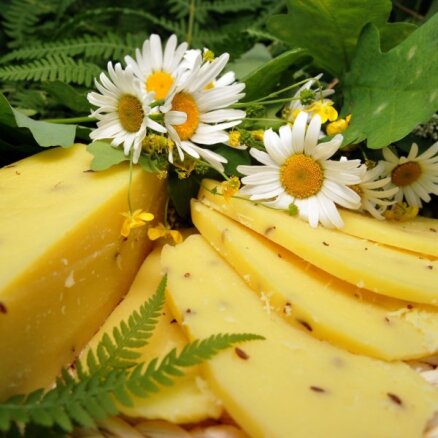 Jāņu siera ražotāji svētkos ievērojamu pieprasījuma pieaugumu nesagaida