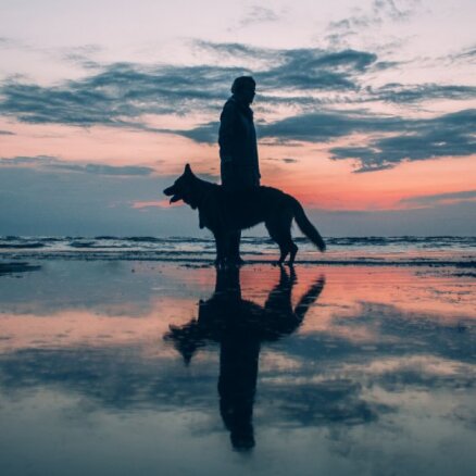 Cilvēku un suņu draudzība varētu būt sākusies senāk, nekā zinātnieki domājuši