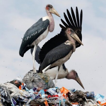 EP atbalsta vienreiz lietojamās plastmasas izstrādājumu aizliegumu