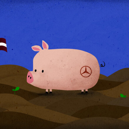 Помесь мерседеса со свиньей. Профессор Тарту и ЛУ Индрикис Крамс о кризисе в латвийских вузах
