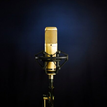 Pasniegs Mūzikas ierakstu gada balvu 'Zelta Mikrofons 2013'
