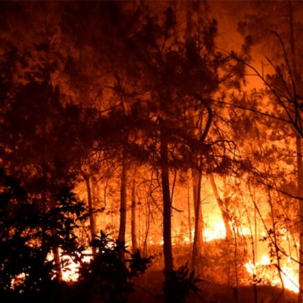 Франция в огне: на юге страны бушуют лесные пожары, на их тушение уйдут дни
