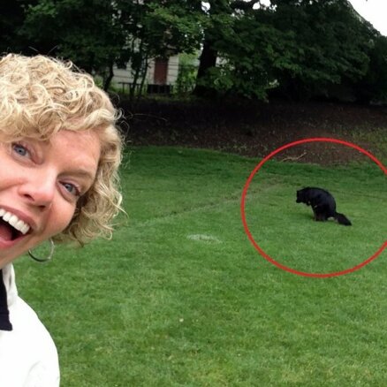 Jauns stulbings – selfijs ar kakājošu suni fonā