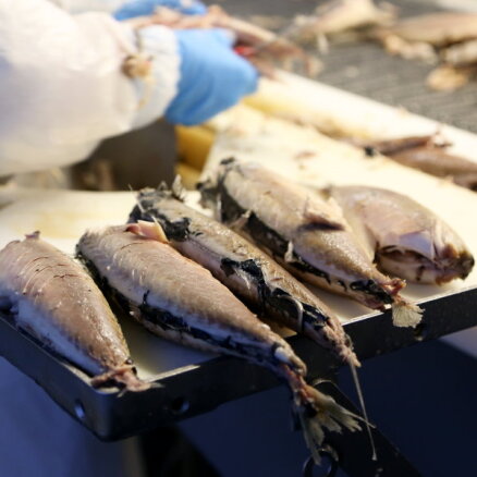 'Trasta komercbanka' atkārtoti izsolīs prasījuma tiesības pret zivju pārstrādes uzņēmumiem