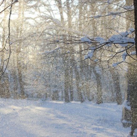 Latvijā sākusies meteoroloģiskā ziema; tuvākajās dienās gaidāms sniegs