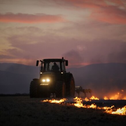 Spānija cīnās ar mežu ugunsgrēkiem Kanāriju salās