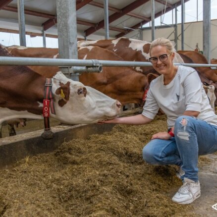 Piensaimniecība 'Tārgalīte' atklāj jauno robotizēto fermu