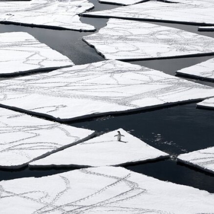 Antarktikas ledū iestrēdzis krievu kuģis