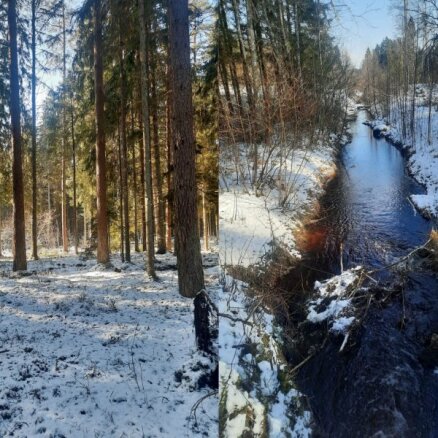 Foto: Pastaiga skaistā ziemīgā dienā pa mazzināmo Vilka kalnu taku
