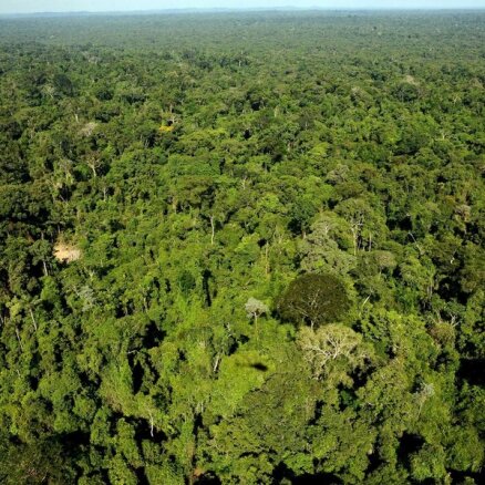 Amazones reģiona valstis paraksta paktu lietusmežu saglabāšanai