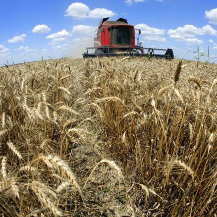 Коалиционные депутаты: исключения в санкциях против России для обеспечения экспорта зерна — допустимы