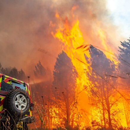 Ugunsdzēsēji brīdina par augstu ugunsbīstamību mežos