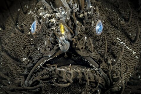 Monstri no jūras dzelmes: kādas radības mīt 30 metru dziļumā