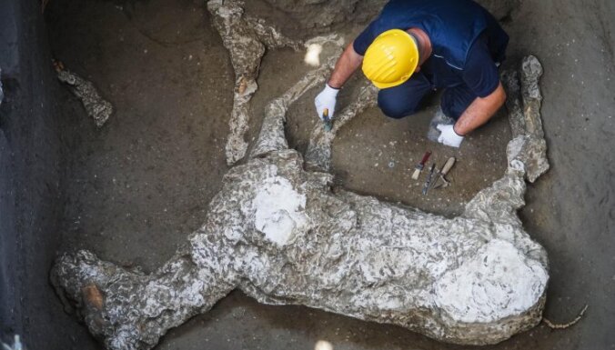 В Помпеях нашли останки лошади в упряжке