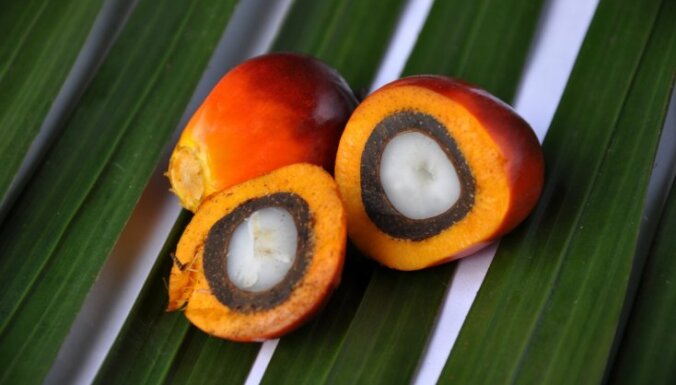 Neveselīgā palmu eļļa var būt pat siera un šokolādes sastāvā