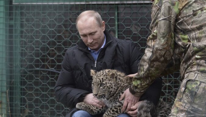Putins uztur savu mačo imidžu un pozē ar Persijas leopardu