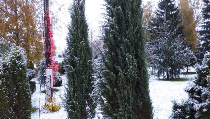 ФОТО: В Цесисе выпал первый снег