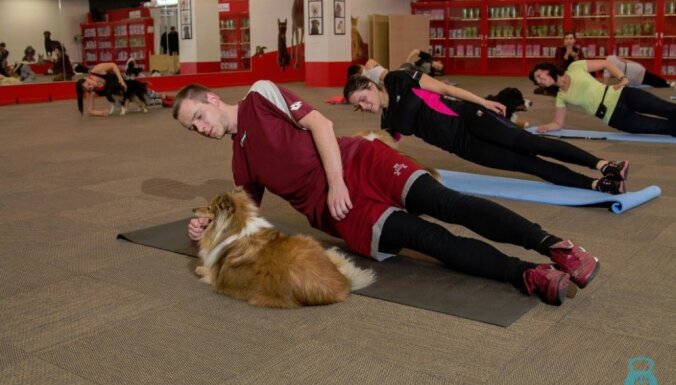 Suns kā treneris un trenažieris. Latvijā popularitāti gūst studentu projekts – suņu fitness