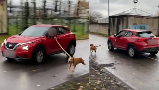 Saimniece staidzina suni, liekot tam skriet pakaļ auto – PVD uzsāk lietu