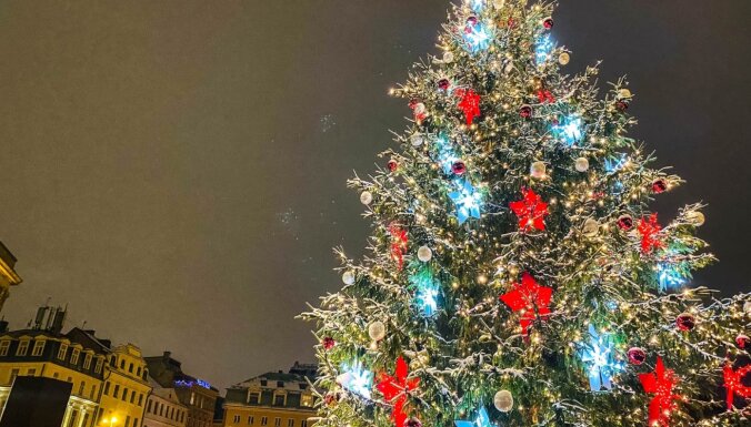 Мэр Риги выберет рождественские елки для столицы