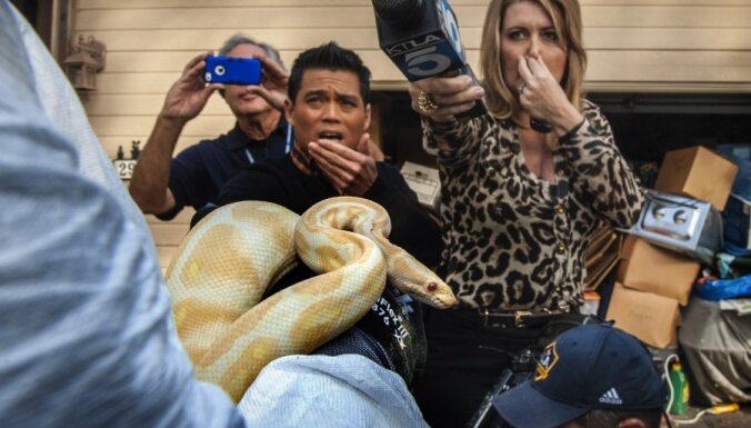 Šausmu māja: ASV skolotājam atņem 400 čūskas