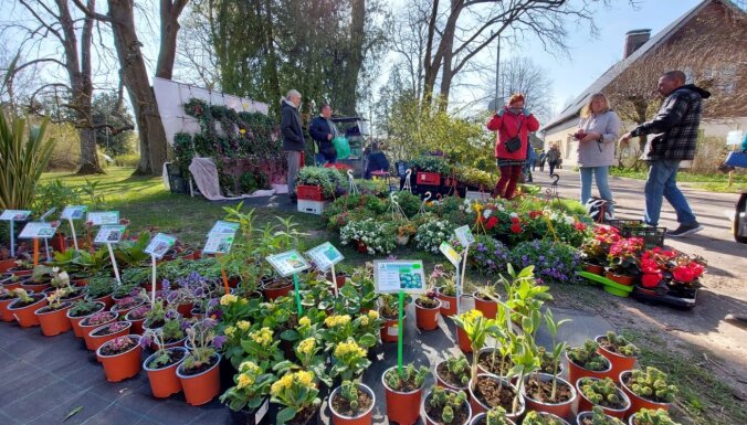 Aprīļa beigās Bulduros norisināsies pavasara dārza un stādu svētki