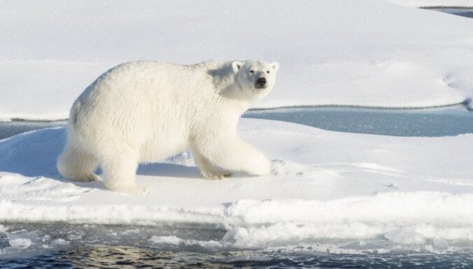 Krievijas arktiskā stacija izkļūst no polārlāču aplenkuma