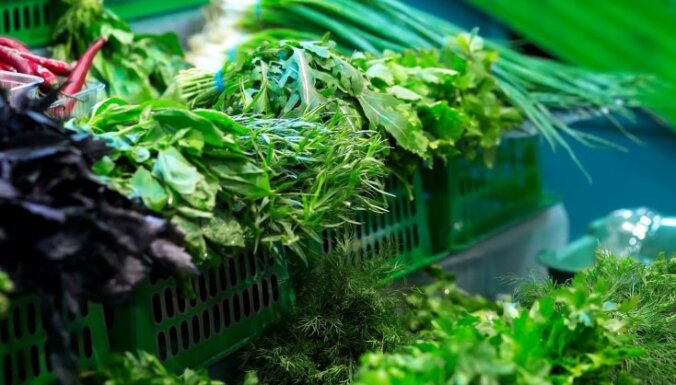 5 овощных культур, которые сажают под зиму