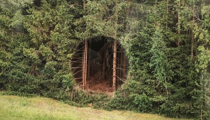 ФОТО. "Что это такое?" Необычная дыра в эстонском лесу стала мировой сенсацией