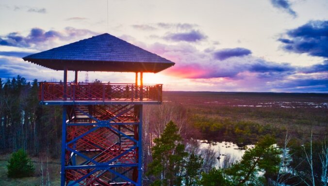 Foto: Kristakrūga skatu tornis, no kura var lūkoties uz Teiču dabas rezervātu