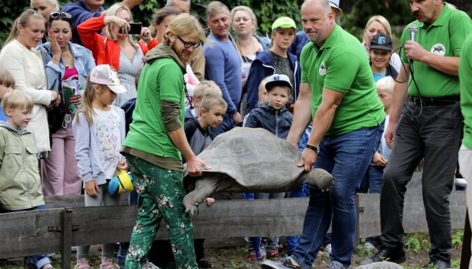 ФОТО: В Рижском зоопарке прозошло уже 20-е по счету взвешивание огромных черепах