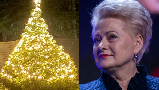 ФОТО. Бывший президент Литвы Даля Грибаускайте показала свою новогоднюю елочку